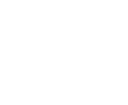 Pivovarna Laško Union